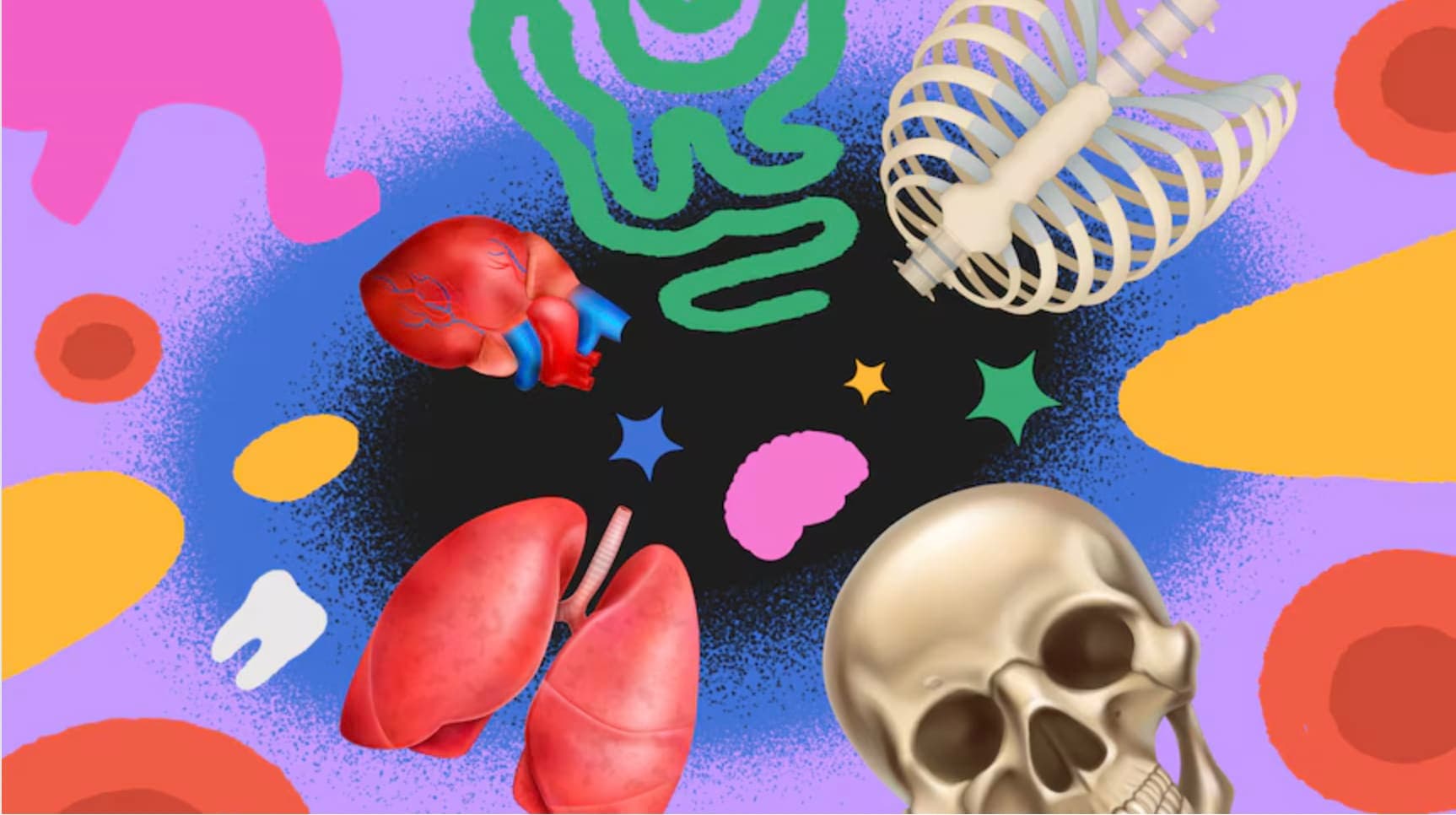 A drawing of a human skull, lungs, and stars