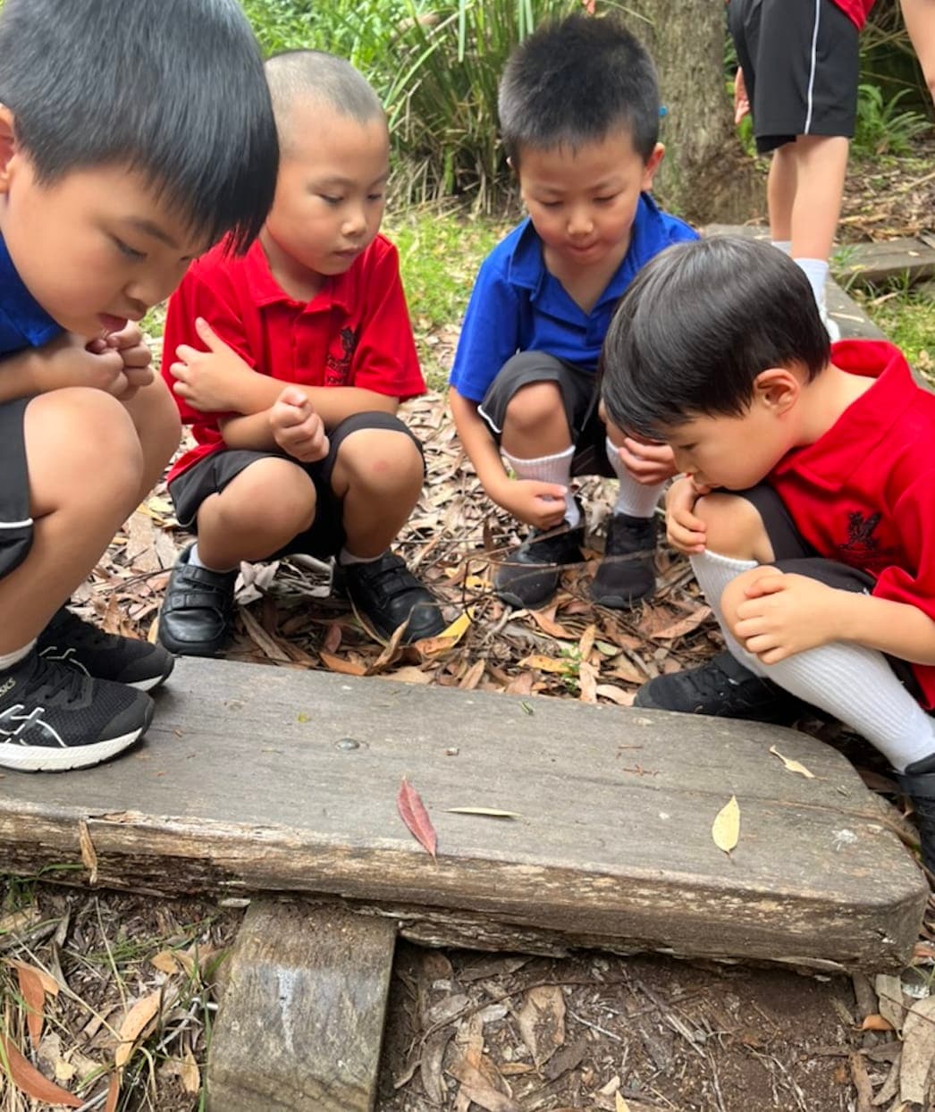 A group of young boys sitting on top of a wooden bench