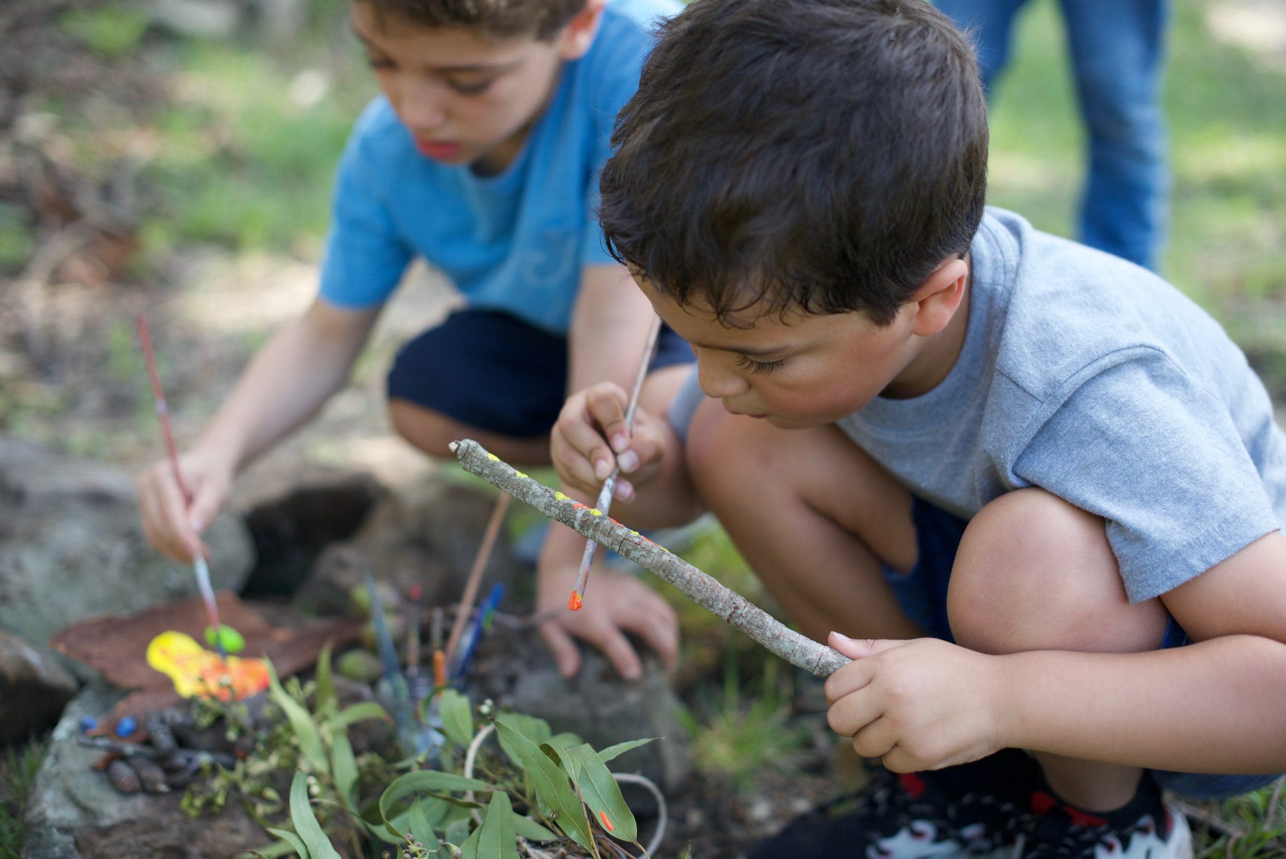 Primary: ReWild Your School