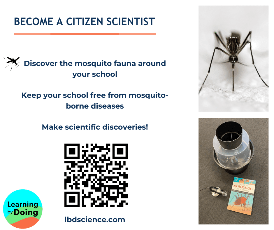 A picture of a mosquito with a qr code